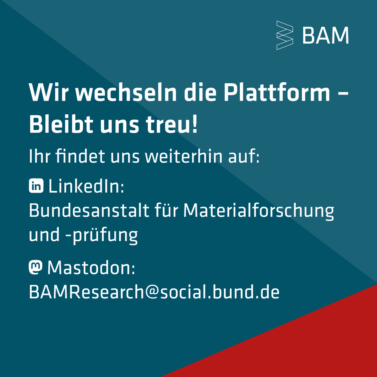 BAM_DE tweet media