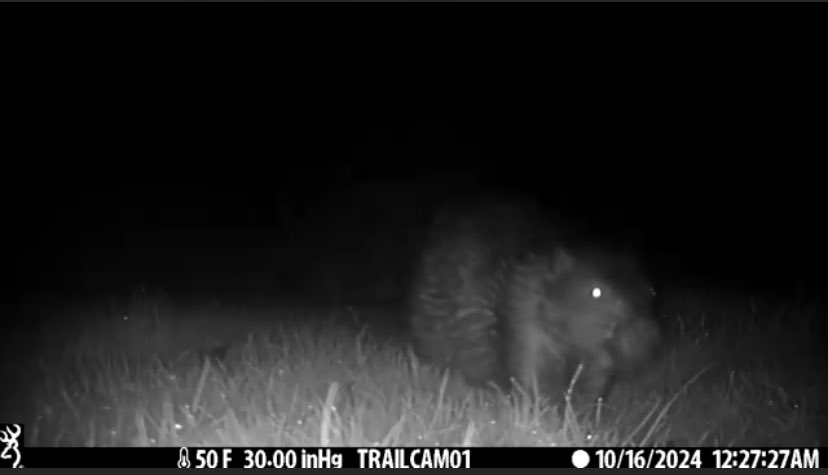 richard taylor-jones tweet media