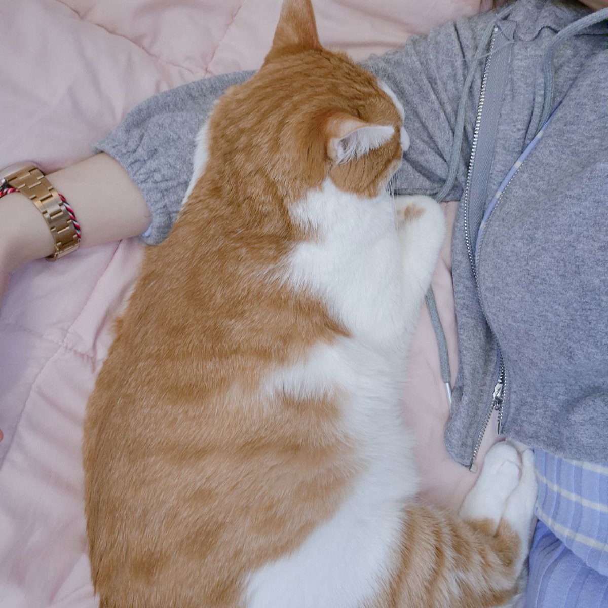 keepgoing🐈⬛ tweet media