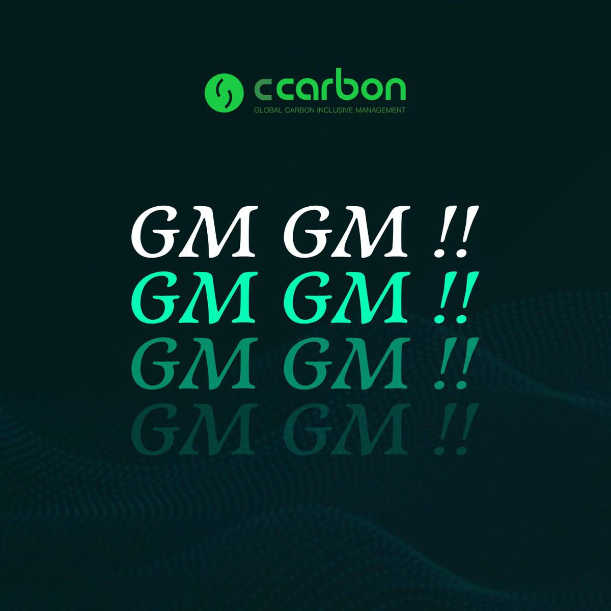 CCarbon - GLOBAL CARBON INCLUSIVE tweet media