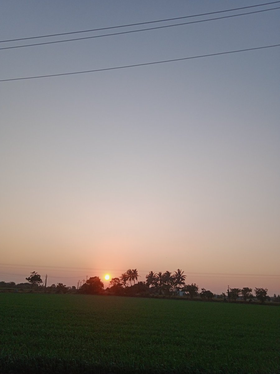 Mira_11147's tweet photo. વાડીના ખૂણેથી✨🫶🌾🌴🌳💫❤
#farm
#selfclick
#NatureBeauty
#vibe
#Godbless https://t.co/ItREts81dT