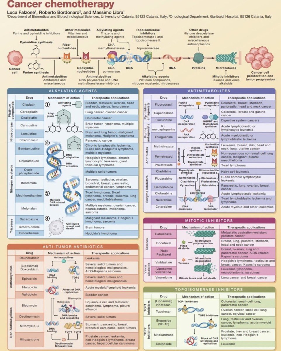 Cancer Chemotherapy

#meded #medx #chemotherapy #cancer #oncology #TICMED25 <a href="/oncodaily/">OncoDaily</a> <a href="/OncoAlert/">OncoAlert</a>