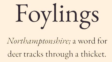 Cian McCarthy tweet media