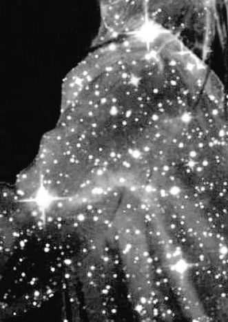 AigaBell's tweet photo. Rows of souls
Still dead...
In the #labirynth of cold hearts
They walk
They wander with ...
Begging for sweet sleep
#vss365
#poetry https://t.co/SD60toEX7I