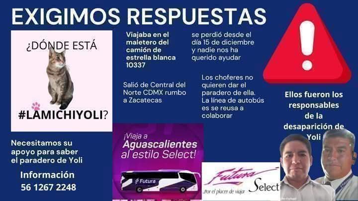 J197619761976's tweet photo. @burgnam @FuturaSelect @Canal34 @elsolde_mexico @ElSoldeHgo @ElSoldeHidalgo @ElSoldeDurango @MVSNoticias @MVSNoticiasPue @MVSNoticiasMty @MVS102_5 @grupoacir @889Noticias @imerhoy @IMER_Noticias @heraldodemexico https://t.co/8e0lUL63SU