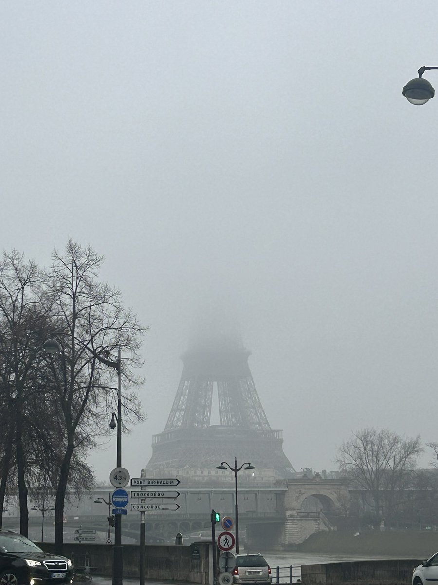 fanny guinochet tweet media