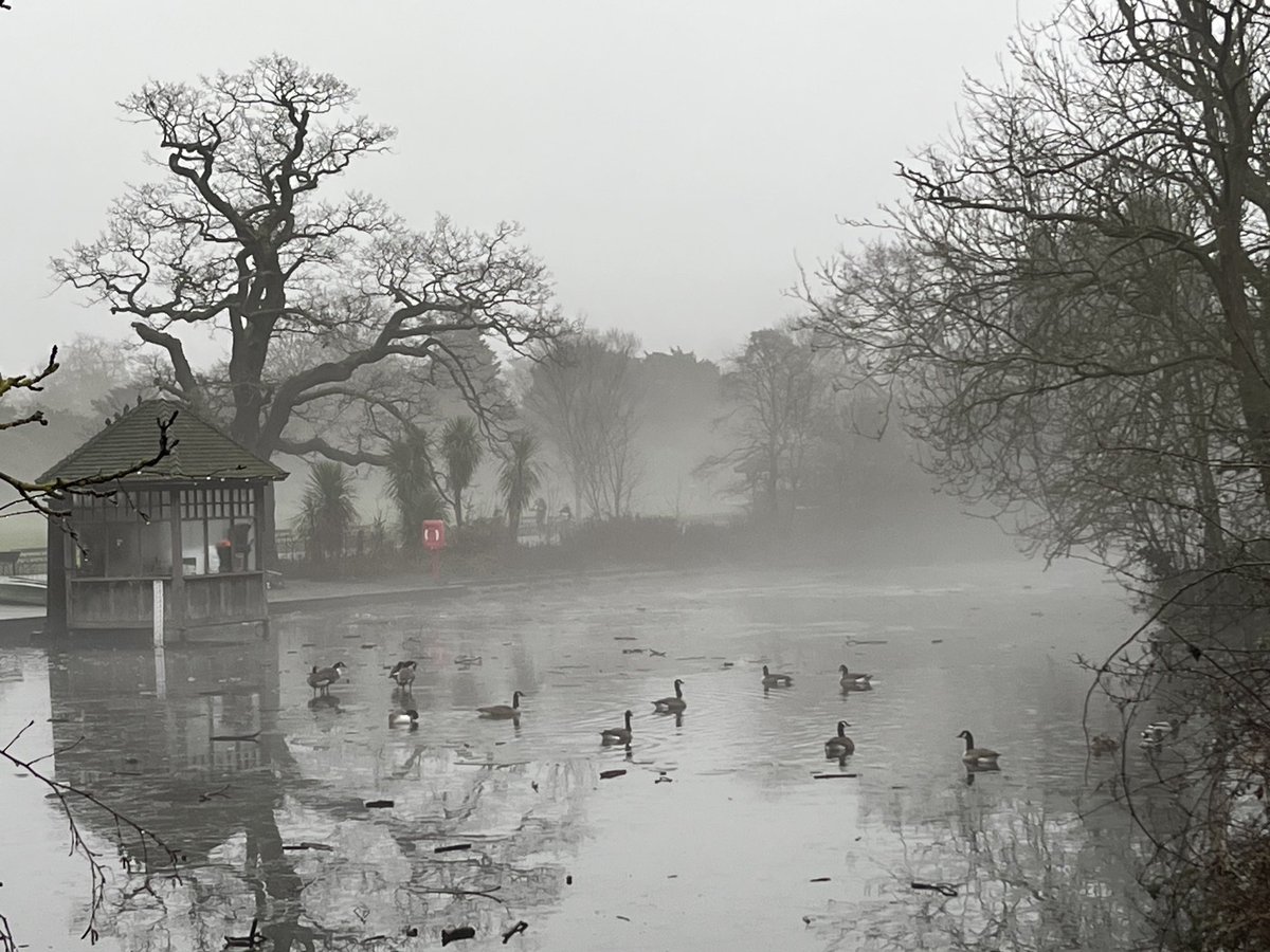 Mist, ice, geese and ducks in <a href="/DulwichPark/">Dulwich Park Friends</a> this morning.