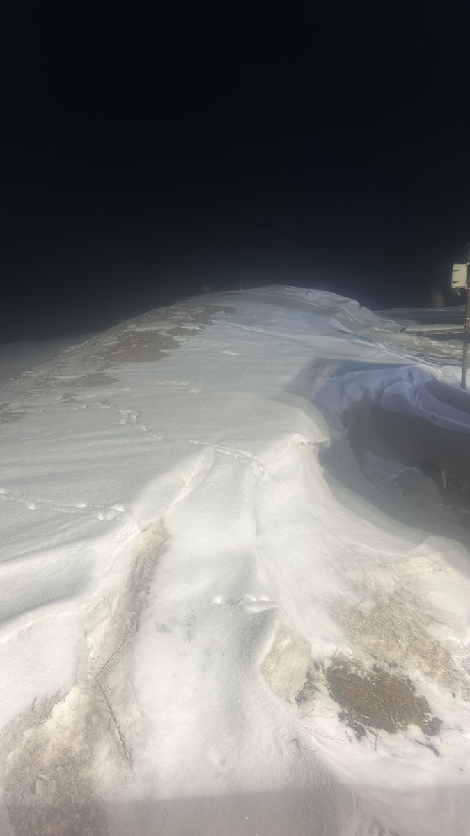 FUCK CANCER! tweet media