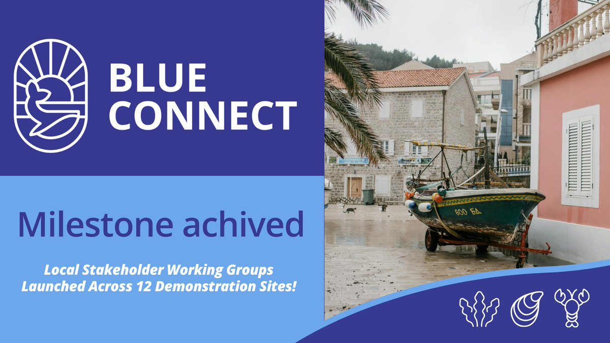 BlueConnectEU's tweet photo. 🌊 Important Milestone Achieved📣
🙌🏻The @BlueConnectEU has established #LocalStakeholder #WorkingGroups (#LSWGs) at 12 #DemoSites! 🎉
👉🏻Inclusive networks uniting #MPAmanagers, #planners, #NGOs & #scientists for #MarineConservation 🌊
ℹ️👉🏻🔗 https://t.co/AMdZRYRxQo https://t.co/ET8cqlHMLO