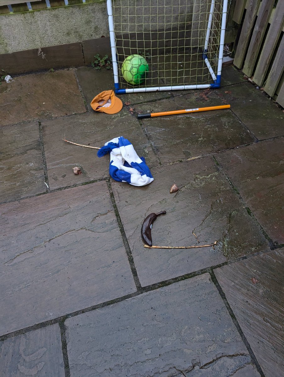 MrsDingo tweet media