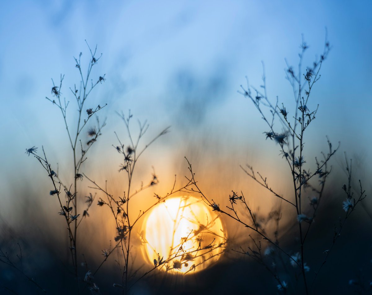 Carlos_Andreu's tweet photo. "Hoy hay días para todo. Y el tercer lunes del año (el próximo 20 de enero) es el Blue Monday, el día más triste del año. " Una reflexión en mi blog que puedes leer aquí: https://t.co/QtXckn0re0 https://t.co/yThKpR14yo
