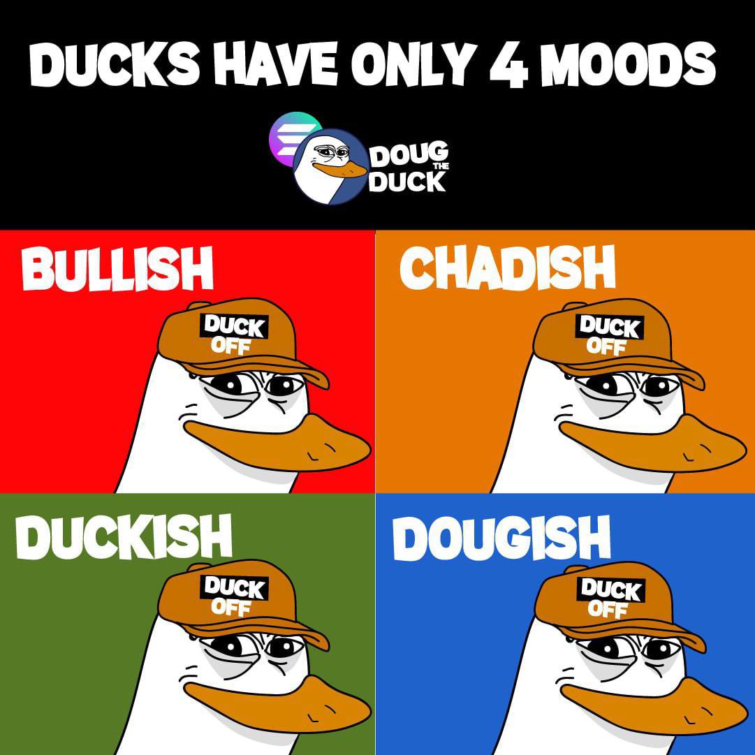 DougDuckSol's tweet photo. How we feeling today ducks? https://t.co/pnLmYlk7zG