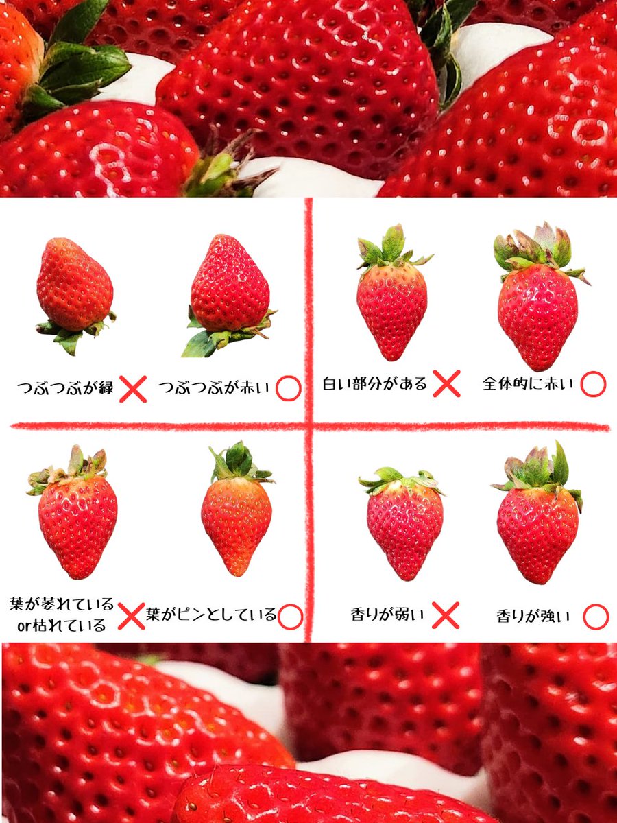 tetsublogorg's tweet photo. 🍓今日はいちごの日🍓
🍓　復讐にどうぞ　🍓 https://t.co/Cckt1LQv9F