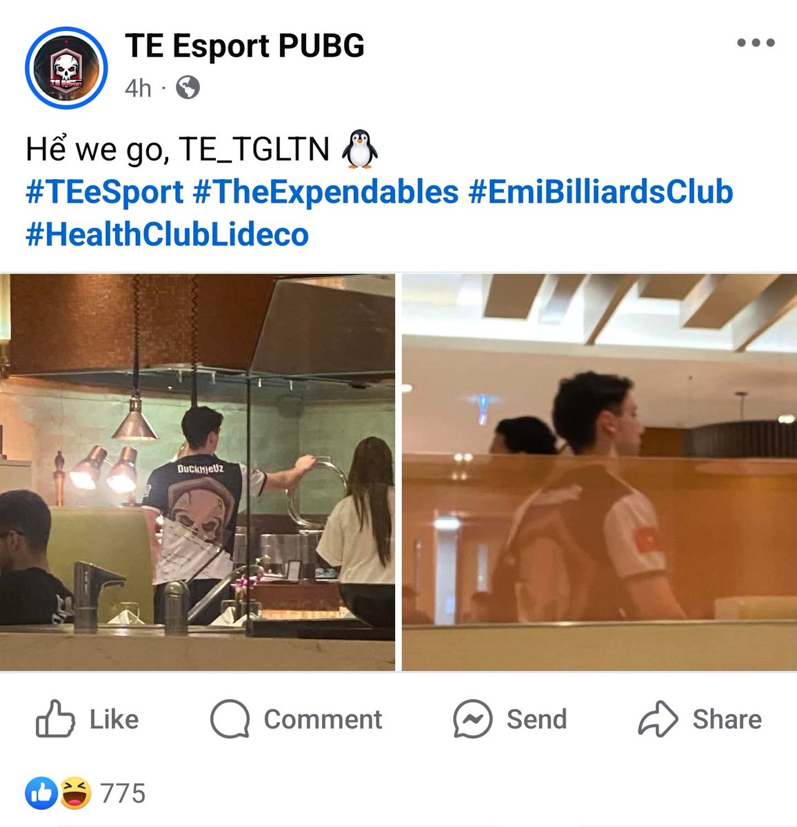 FLC TGLTN tweet media