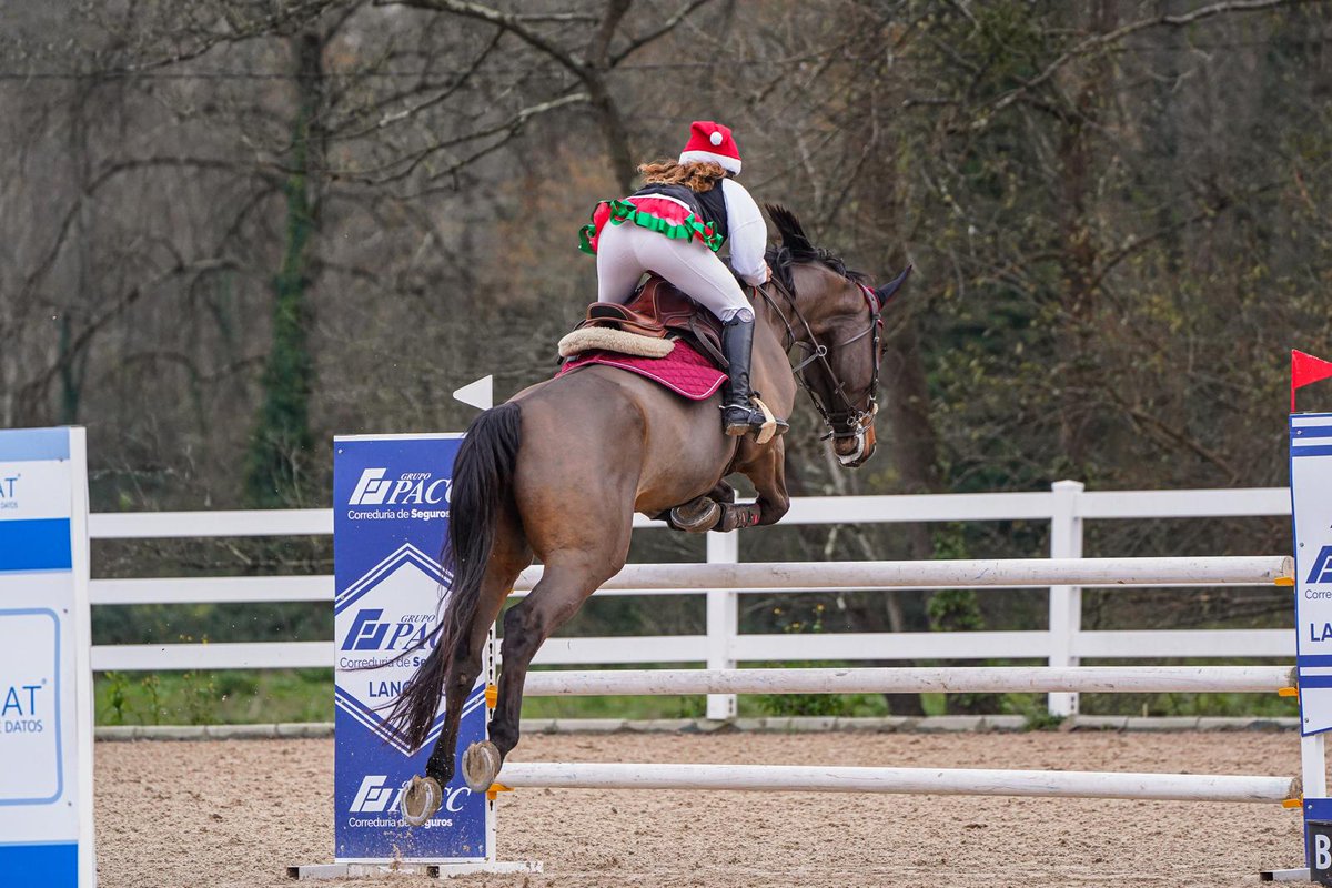 GPaccSeguros's tweet photo. 🏇✨ ¡Emoción y destreza en el Concurso de Salto de Obstáculos en Asturias! GRUPO PACC, orgulloso patrocinador de uno de los saltos, apoyando el talento y la pasión por la hípica. ¡Un espectáculo inolvidable! #GrupoPACC #SaltoDeObstáculos #DeporteECuestre #PasiónPorLaHípica https://t.co/Li0yfi0RvN
