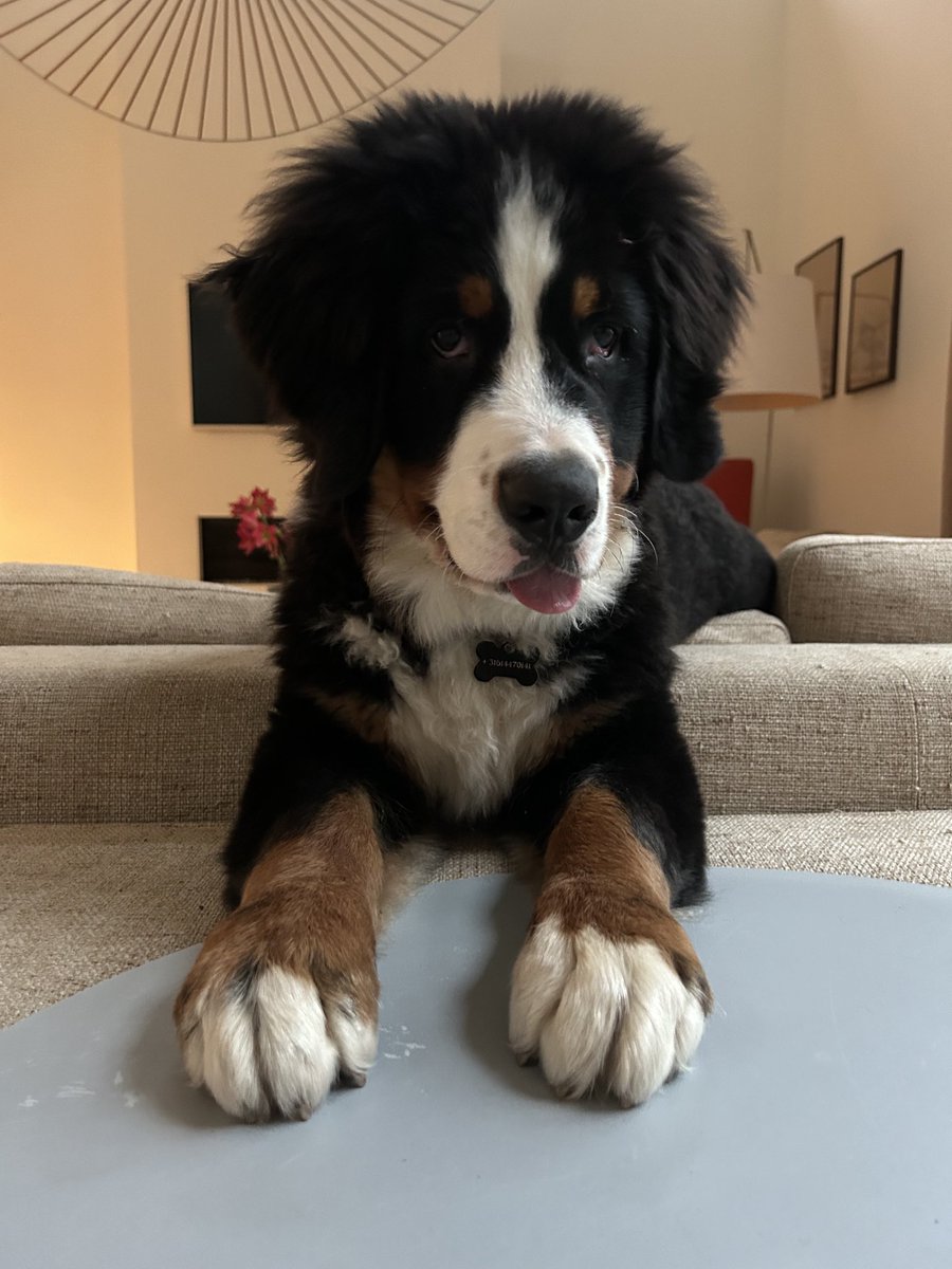 Aart Lensink tweet media