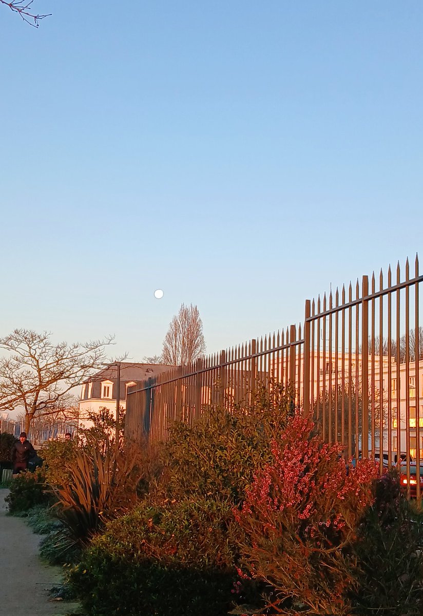Couleurs d’hiver sur #Lorient ☀️💙
