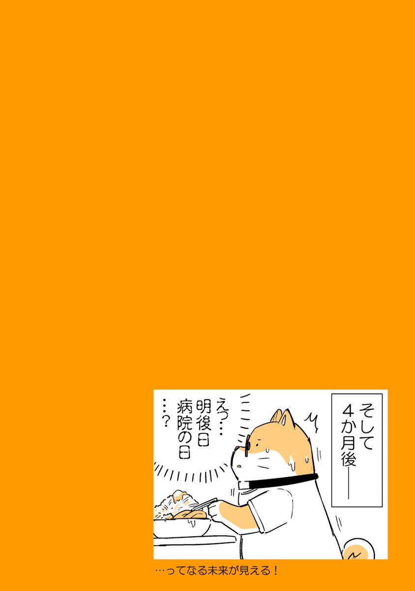 3/3 