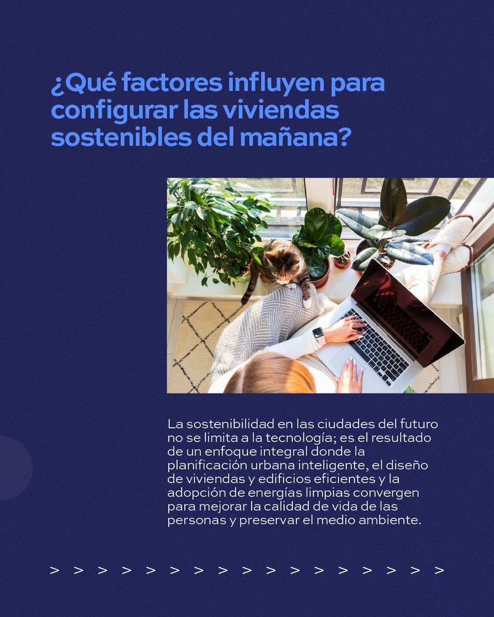 Zubi Cities tweet media