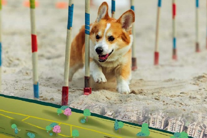 Roma's tweet photo. 📅Il 16 gennaio apre l'area Agility al parco Tevere Magliana 🐕
📌Appuntamento alle 16 per l'inaugurazione della nuova area dedicata ai cani. Un'area sicura per esercizio e gioco
👉 https://t.co/3m9bXNPYnc
#TevereMagliana #DogPark #CaniFelici #Inaugurazione #PetEvent https://t.co/hU04YFi49g
