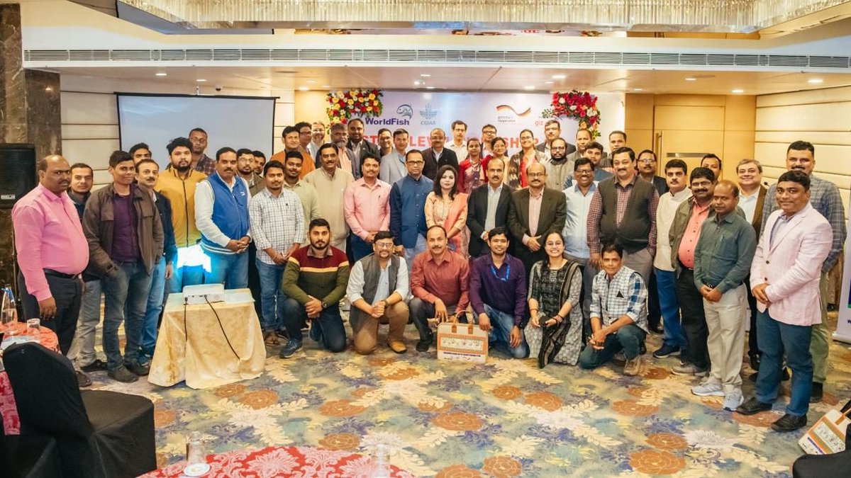 WorldFishCenter's tweet photo. The growth of Indigenous #smallfish species in India calls for improved cultivation, dietary inclusion &marketing practices for better #nutrition & #income.
WorldFish and @giz_gmbh brought diverse experts to discuss ideas and experiences on nutrition-sensitive #carp polyculture. https://t.co/n3ASZCNcpi