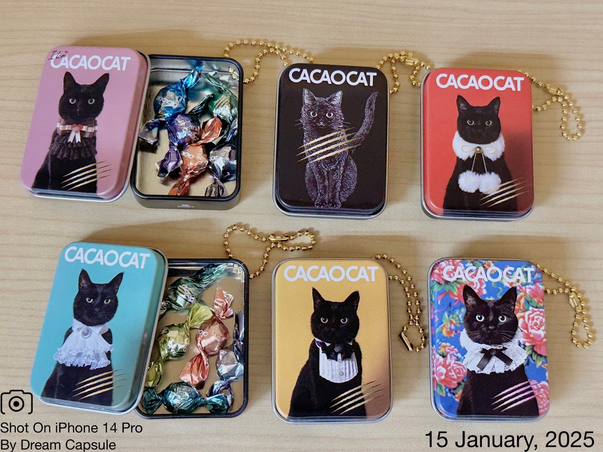 🌟新入荷ガチャ商品プレゼントCP🌟 中身もリアルに再現！カカオ
