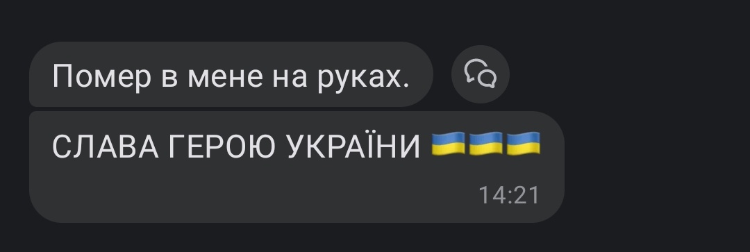 збірна голандії з кьорлінгу tweet media