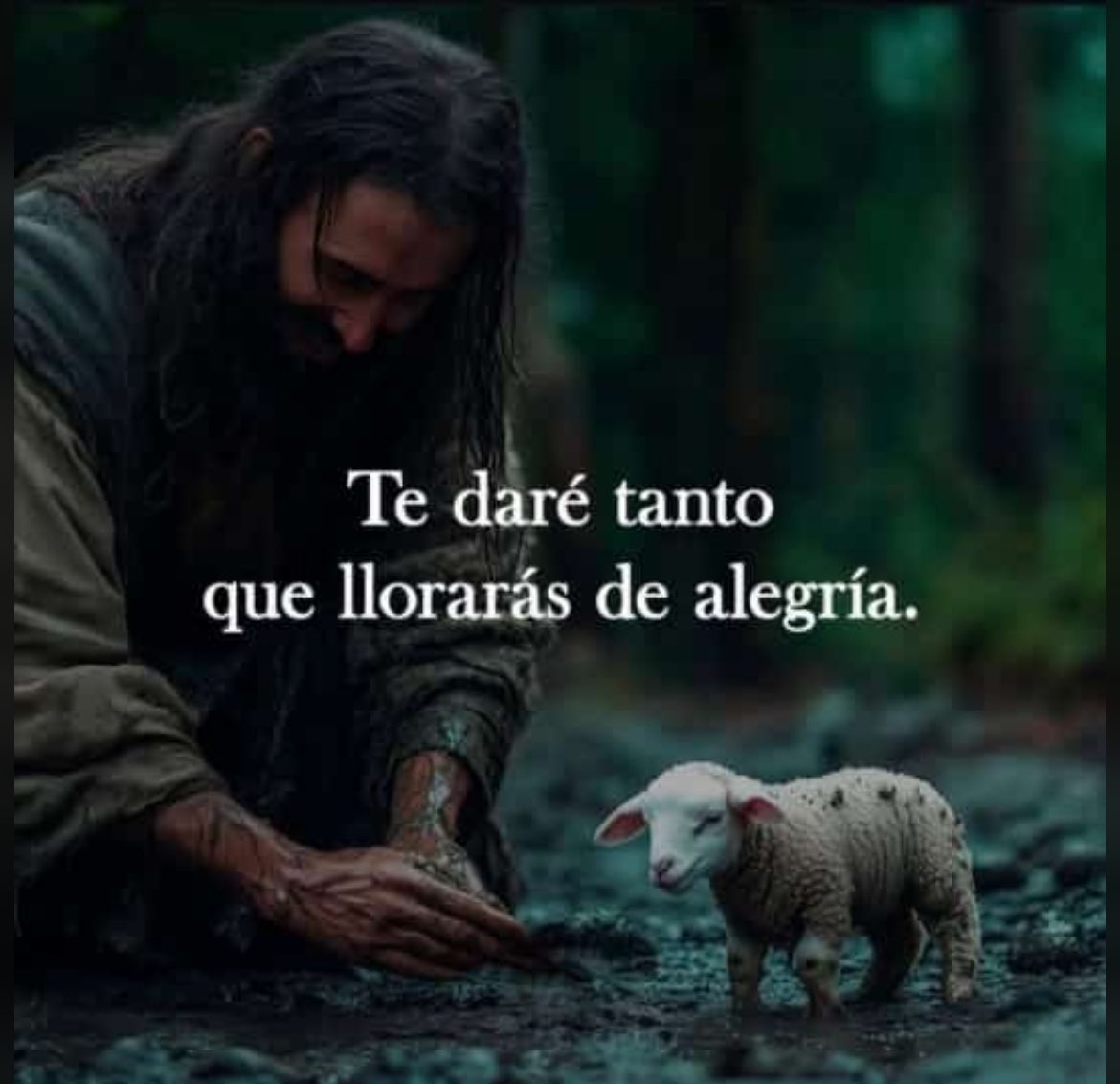 ID_Catolica ﻥ tweet media