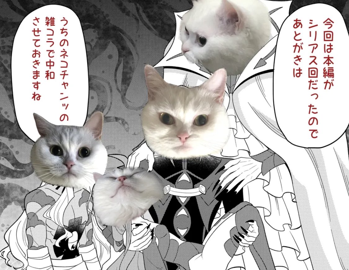 これは連載のあとがきが何も浮かばなかった時にうちの猫の手を借りたやつです 