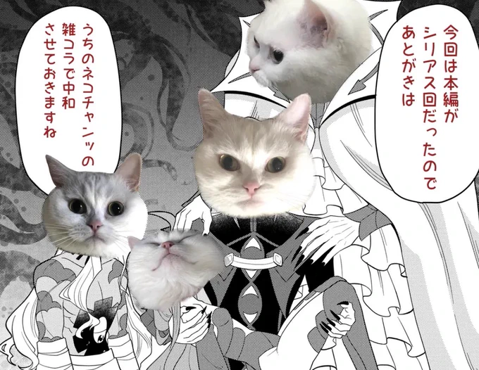 これは連載のあとがきが何も浮かばなかった時にうちの猫の手を借りたやつです 
