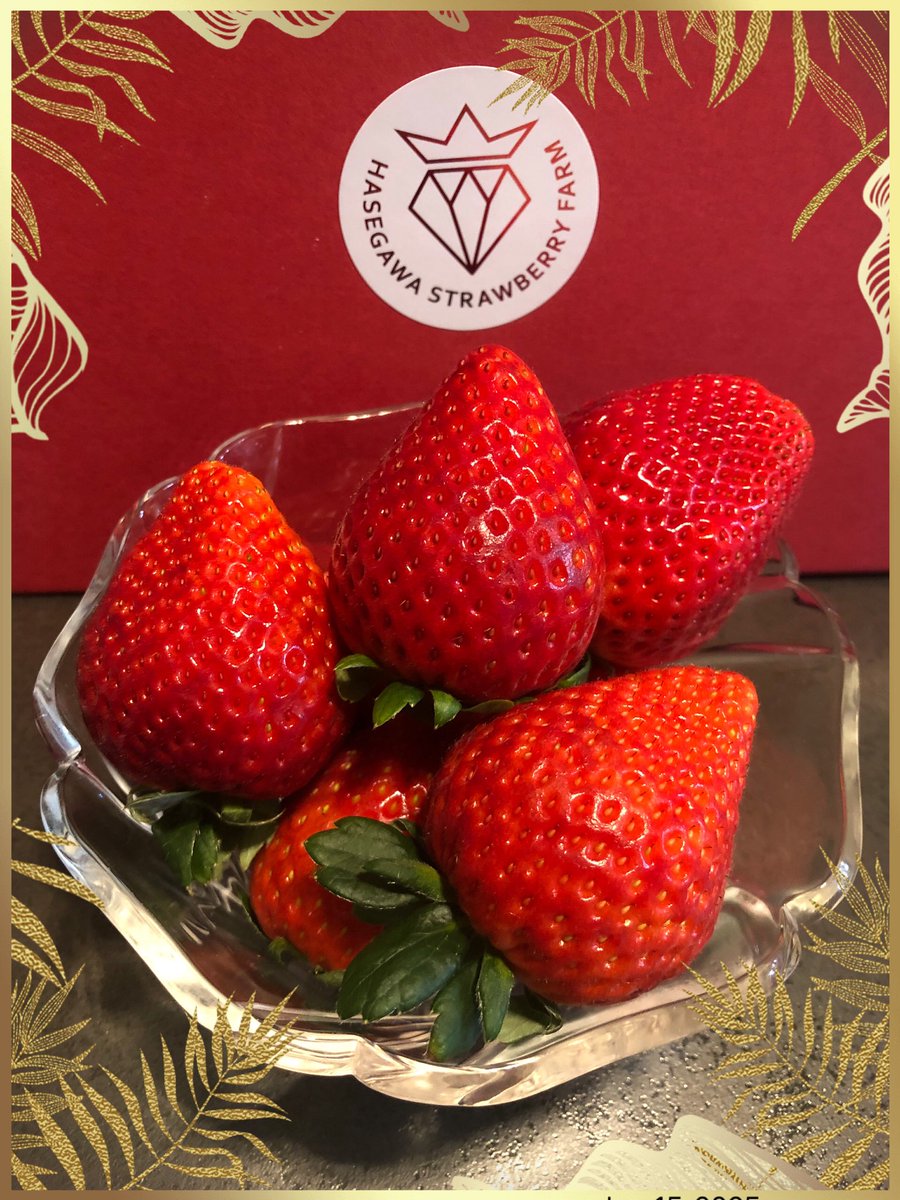 〜10/9 いちご様 ミモト園芸白いちご パインベリー 3号ポット苗《10&frasl;9》 ミモト園芸