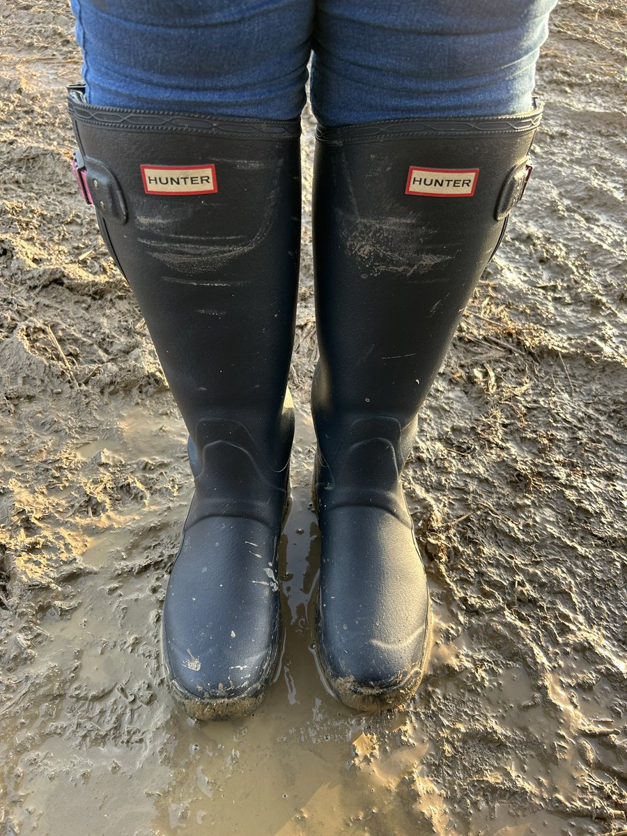 Glad of my <a href="/HunterBoots/">Hunter</a> #Balmoral #welly #boots this morning now everything has defrosted and the mud has returned.
