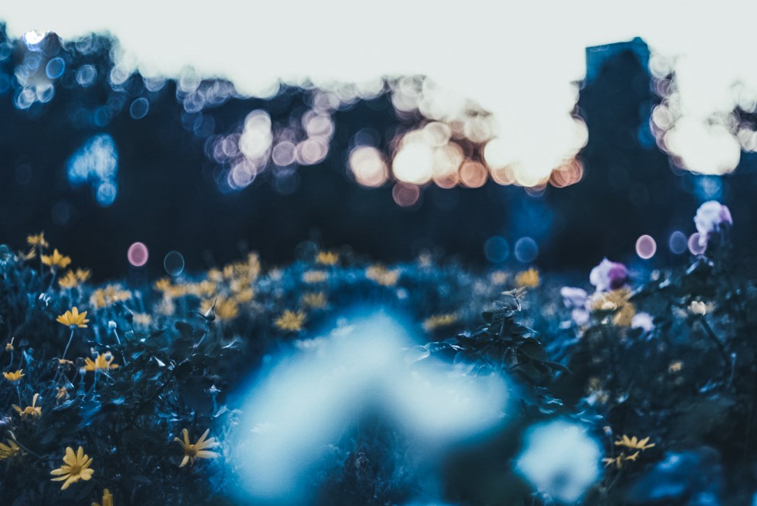 𝓴𝓸𝓰𝓪𝔂𝓪. tweet media