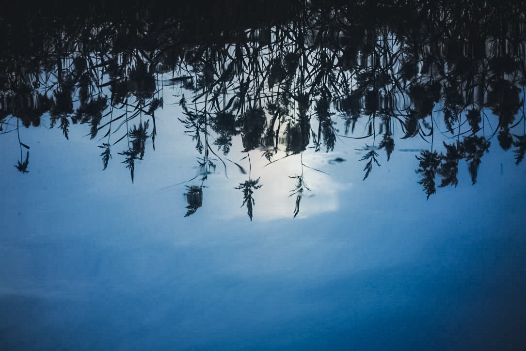 𝓴𝓸𝓰𝓪𝔂𝓪. tweet media