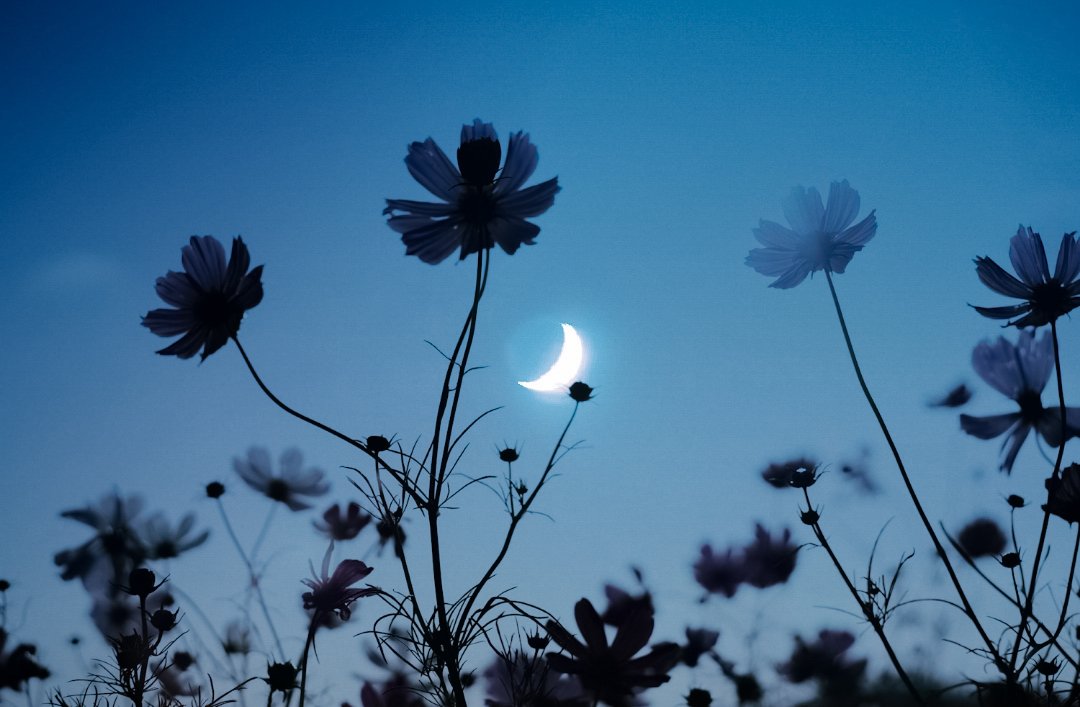 𝓴𝓸𝓰𝓪𝔂𝓪. tweet media