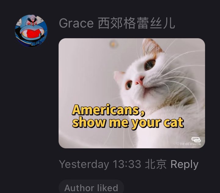 imagepoor's tweet image. Found on xiaohongshu