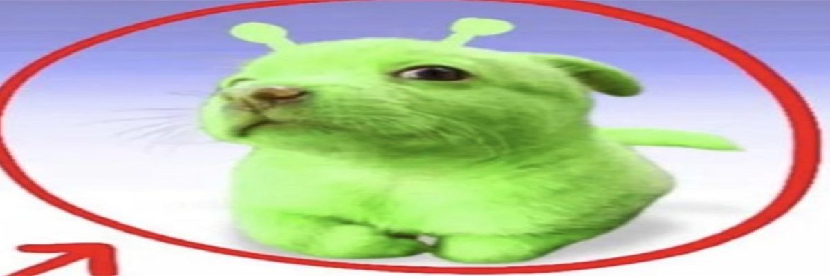 *ೃ ✰𝑺𝒐𝒑𝒂 ✰*ೃ tweet media