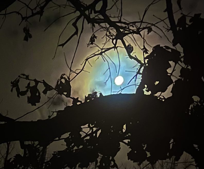 nikiastro's tweet photo. Astrotweet: Mars at 26 Cancer R opposes the Sun at 26 Capricorn. Mars is Out of Bounds at 25N56 up until April of 2025. The Moon also Out of Bounds at 25N56 adds to this extreme time of amplified world events tied to Cancer at front lines for global humanity. (Cancer Full Moon) https://t.co/PHKzjpBJn8