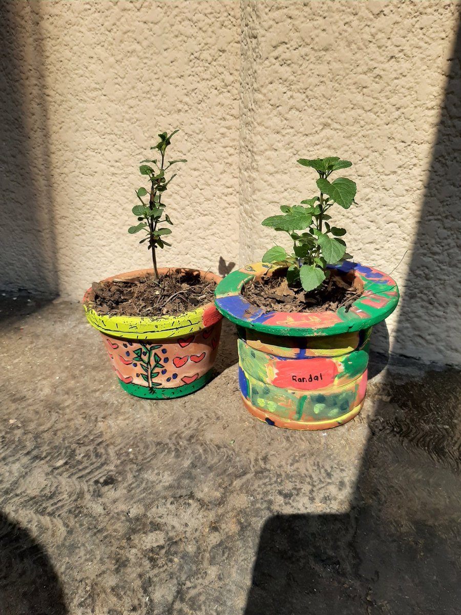 RealmoAlmo's tweet image. #ZapataReforestandoMéxico