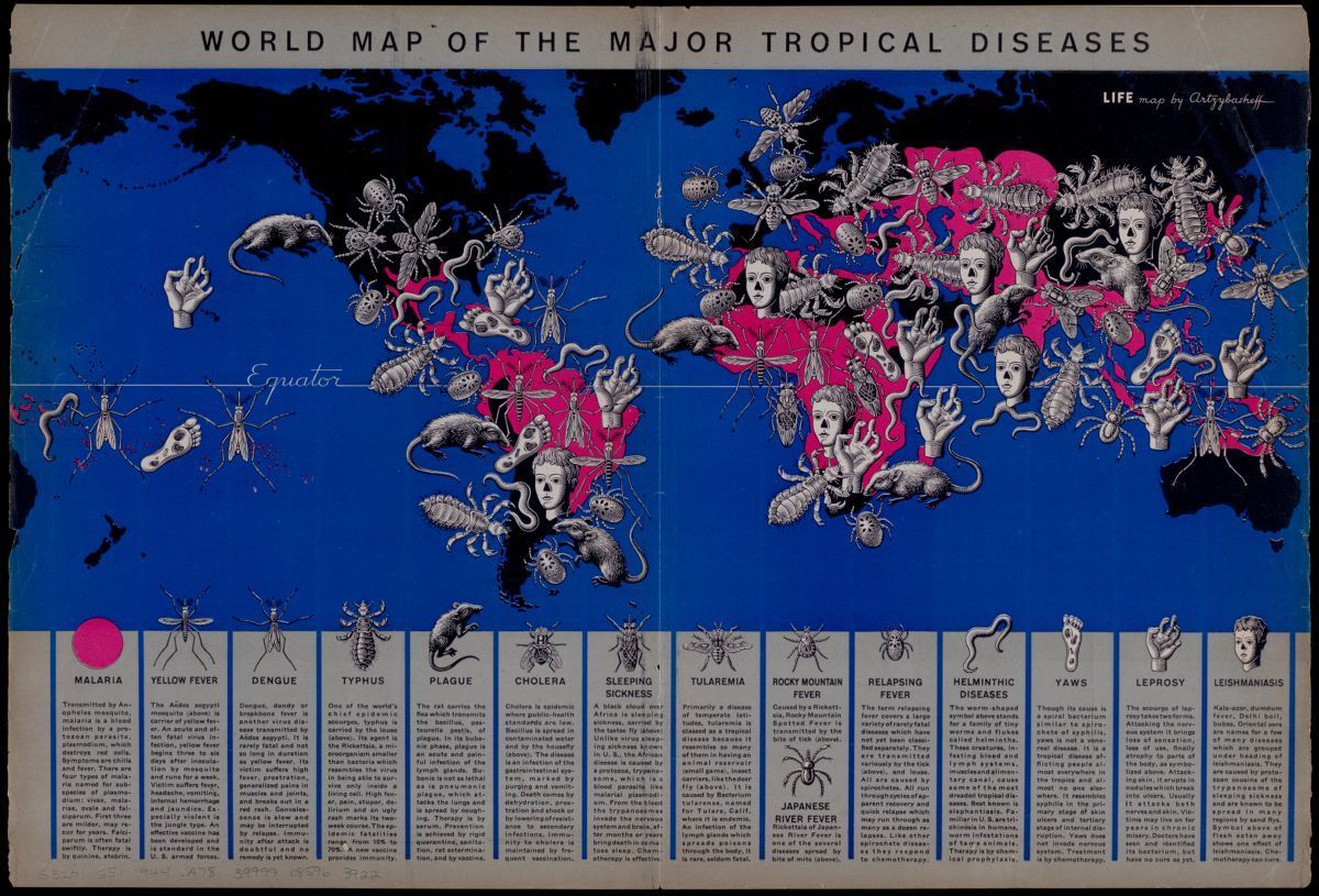 bplmaps's tweet photo. Who *wouldn’t* want to see a map depicting contagious diseases around the world?!  🦟🐀🕷️

Map: World map of the major tropical diseases (1944)

#bpl #LMEC #maps #bostonmaps #localhistory #bostonmuseum #thingstodoinboston #bostontourism https://t.co/hN9wMSo92F