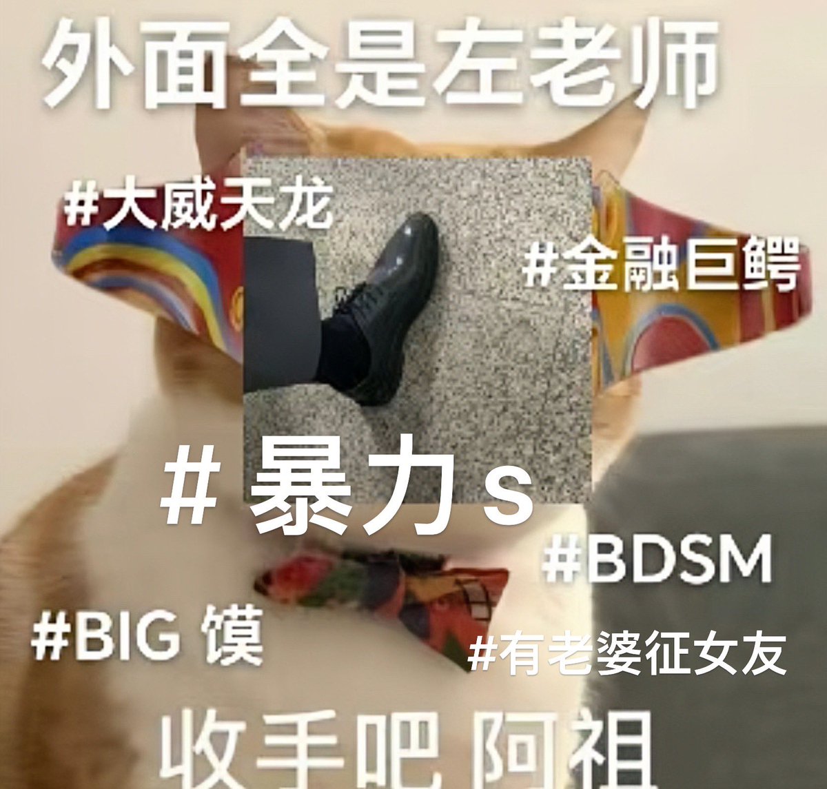 1 tweet media