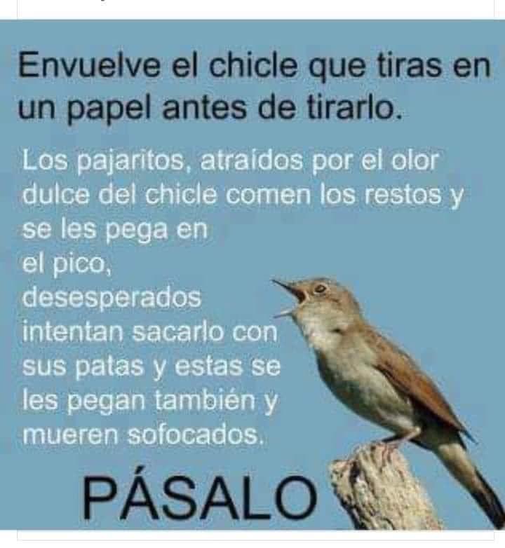 Cuidar la creación es cuidarnos a nosotros mismos!