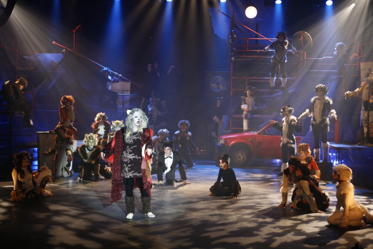 Beit Zvi tweet media