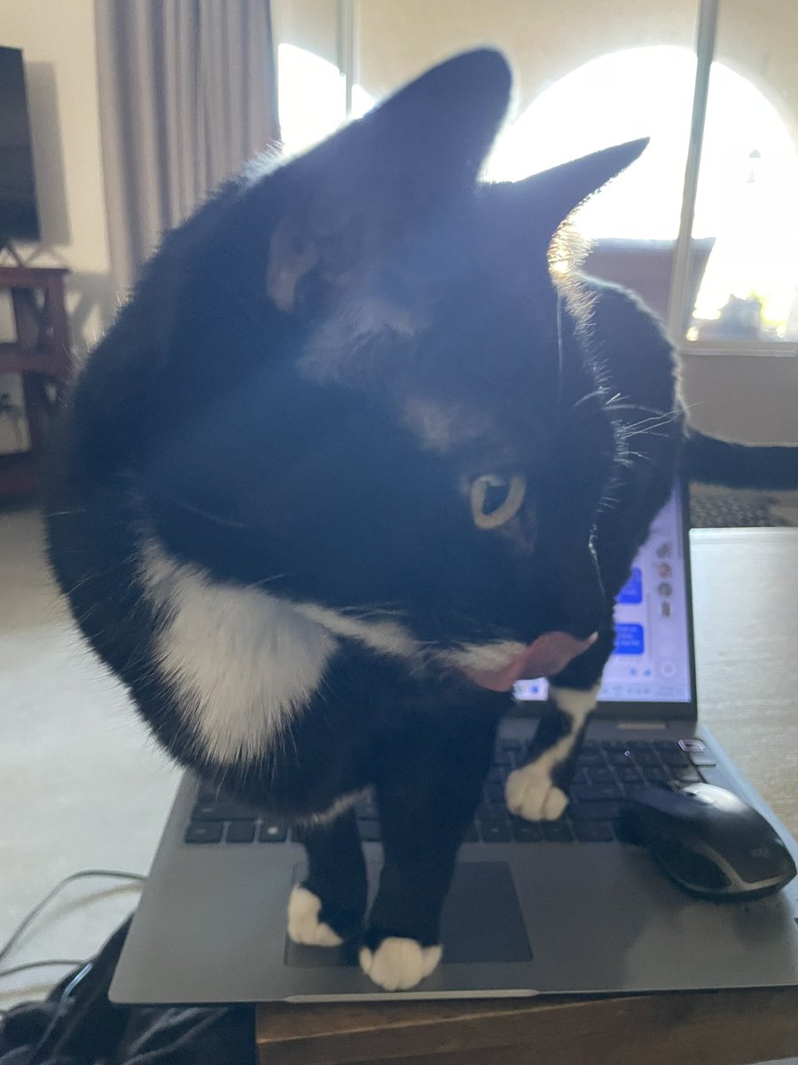 Wednesday & Nikolai tweet media