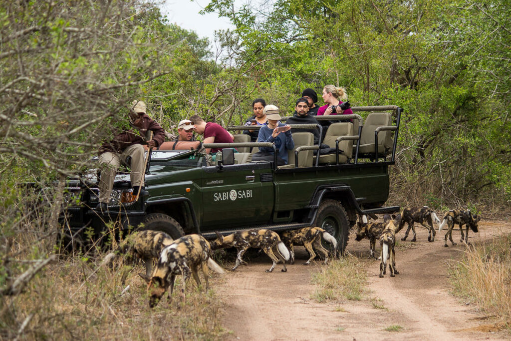 Shouldn't 2025 be the year to investigate sustainable luxury travel? Ker &amp; Downey Africa proposes some up-close experiences that matter. 
Get in touch for the full PR. #journorequest #sustainabletravel #luxurytravel #luxurysafari #sustainablesafari