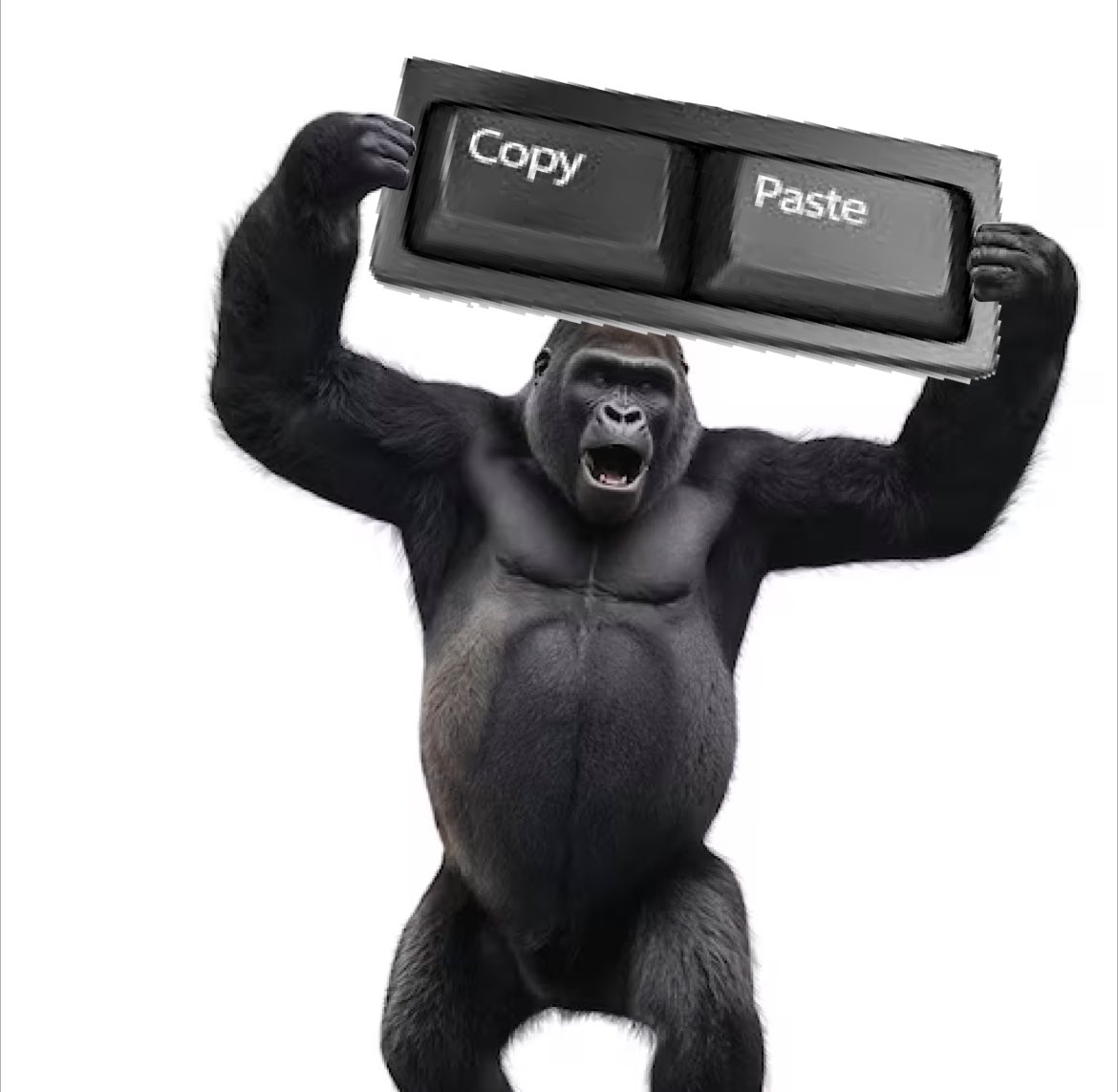 CopyPasteApe's tweet photo. COPY PASTE APE

IYKYK $CPA https://t.co/yPPSj7iM0H