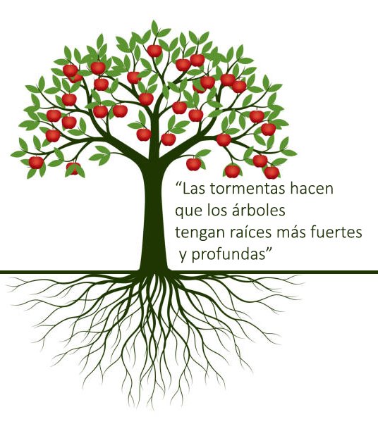 SerenaysLatam's tweet photo. Hace poco leí este famoso dicho turco... "Meyve veren ağaç taşlanır" 
El árbol que da frutos es apedreado...

Sí... nuevamente se metieron en la vida privada y carrera de Serenay, difamando, ensuciando su dignidad y ademas usándola como chivo expiatorio en un tema de monopolizacion tan extenso y que involucra a mucha gente y empresas pero prefiereron atacarla injustamente solo a ella y con información engañosa. Mezclando todo porque saben que su nombre atrae la atención de todo el mundo y nadie más lograría hacer de esto algo tan mediático como se ha visto hasta ahora...
Como fan me da mucha rabia todo esto y verla hoy me dolio el corazón... pero también como su fan de años, sé que esto la hará más fuerte porque ella ama lo que hace y desde los 15 años que trabaja por sus sueños y nunca nada la ha derrumbado ni derrumbara ❤️👊
Ella es una actriz increíble, profesional, elogiada por la gente y muchos de sus pares, amada siempre por quienes han trabajado junto a ella, sus trabajos son exitosos y aunque todo esto le queme a muchos y muchas, su calidad actoral no está en discusión.
Espero que todos quienes mancharon su nombre y trabajo paguen, pero realmente paguen y no les salgra gratis llegar y atacar cuando quieran y de esta vil forma a como están tan acostumbrados en Turquía...
Y a las cientos de hienas que salieron de su cuevas para aprovecharse de todo esto solo les deseo que algún día logren ser felices y exitosos con su preferencias y vida profesional, porque claramente no lo son y difícilmente lo serán...

Y sobre los dichos, prefiero quedarme con este...
"Las tormentas hacen que los árboles tengan raíces más fuertes y profundas"
Aunque la tormenta quiera derrumbarlo... nuestro árbol tiene raíces fuertes y profundas y siempre estará cuidado y protegido por quienes lo aman...
Que tu hermosa luz siempre siga brillando Serenay, aunque a algunos los queme 👊🧿
#SerenaySarikaya