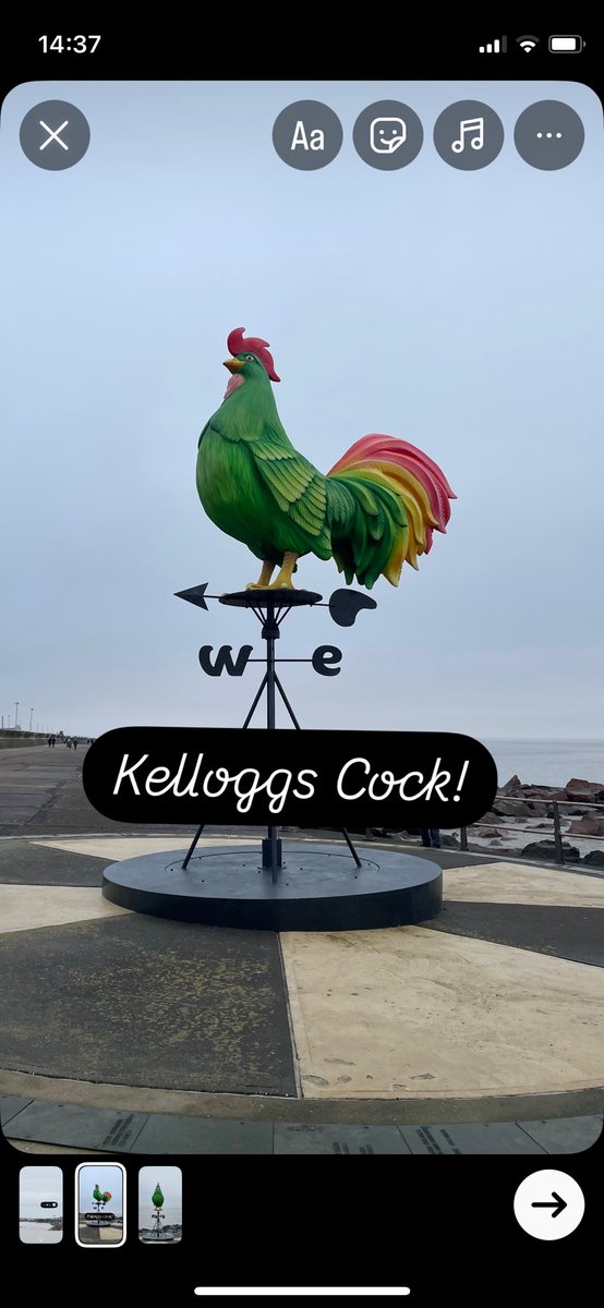 Deb 🌺 tweet media