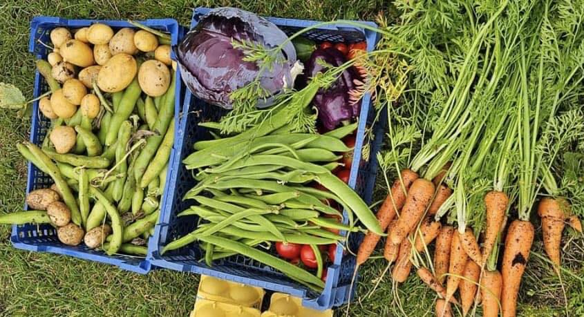 Bideford-TC (@bidefordtc) on Twitter photo Have you ever thought about growing your own vegetables?
Now could be the opportunity you have been waiting for!
3 allotment plots available at Tricks Allotment Site in Bideford.
Get in touch to find out more by emailing:
info@bideford-tc.gov.uk
#allotmentplotsavailable Have you ever thought about growing your own vegetables?
Now could be the opportunity you have been waiting for!
3 allotment plots available at Tricks Allotment Site in Bideford.
Get in touch to find out more by emailing:
info@bideford-tc.gov.uk
#allotmentplotsavailable