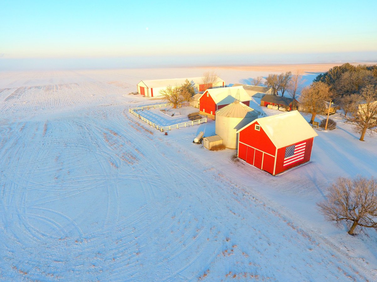 Dave Kestel tweet media